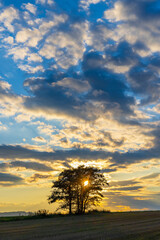 Landscape in a nature reserve Broumovske steny, eastern Bohemia, Czech Republic
