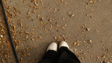 feet in the leaves road