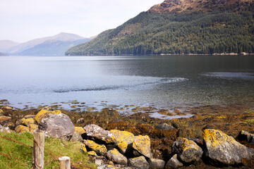From Carrick Castle on the shore of Loch Goil, a distant view of Lochgoilhead with hazy hills in...