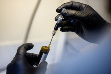 Full spectrum cbd oil being pulled into a syringe for storage