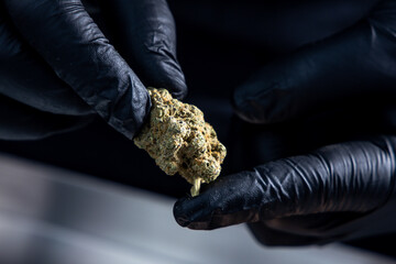 UK legal medical cannabis flower la kush cake 