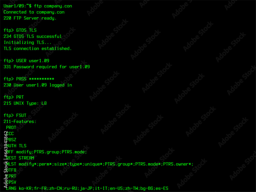 Aufkleber retro file manager login sequence template for a 90s computer display, monitor. file transfer protoc