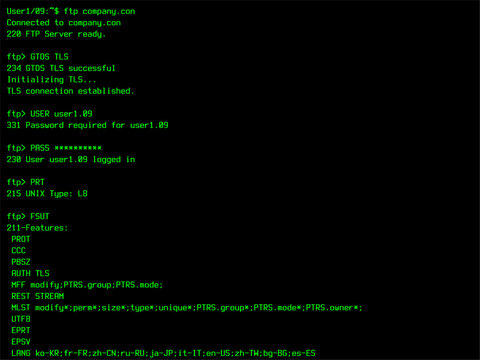 Retro File Manager Login Sequence Template for a 90s Computer Display, Monitor. File Transfer Protocol Interface Used for Internet Storage. Screen Replacement Mock Up for an Old Operating System