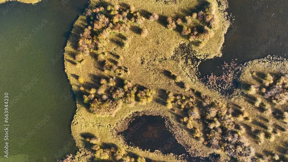 Wall mural a drone view of the river in the woods. drone view of the marsh. an aerial view of an autumn forest.
