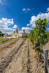 Fototapeta premium Vineyards with Chateau Cos d'Estournel, Bordeaux, Aquitaine, France