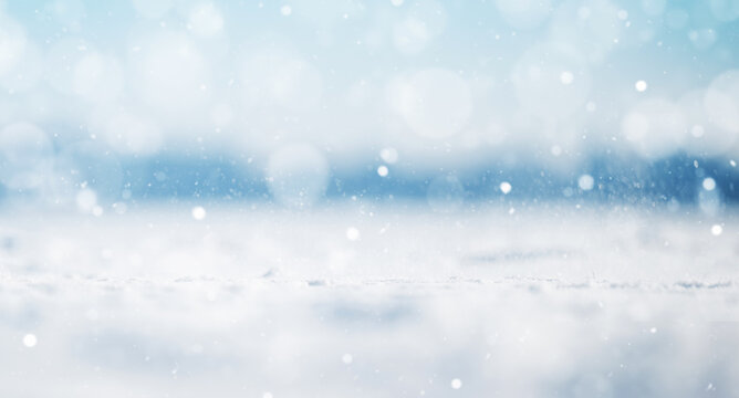 Winter landscape with snowy background and snowflakes. Christmas concept
