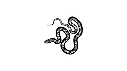 Hand Drawn Monochrome Snake, black isolated silhouette