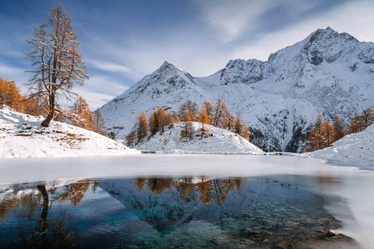 Autumnal landscape view of the Lac Bleu in Arolla with golden larches and snow-covered mountains