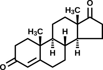 Androstenedione vector illustration, A4 structural formula
