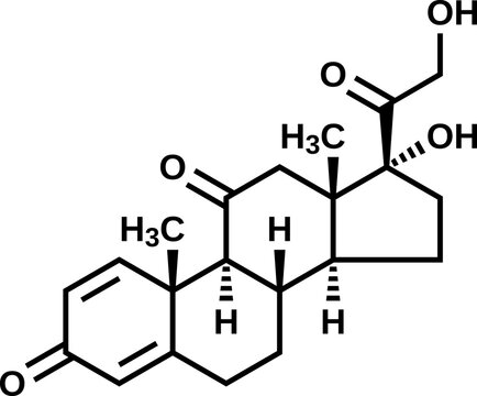 Prednisone structural formula, vector illustration 