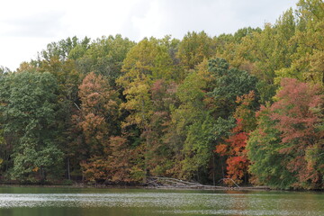 Fall scenery at the Churchville Nature Center in Bucks County, PA. 
