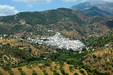 Fototapeta na wymiar Vista de Tolox, en la Sierra de las Nieves, provincia de Málaga