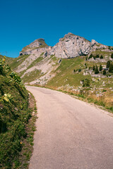 Fototapeta na wymiar Concrete mountain road between alpine meadows and rocks, peaks of Tour de Mayen and Tour d'Ai in the background on a bright summer day. Leysin, Vaud, Switzerland