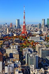 Tokyo city, Japan - obrazy, fototapety, plakaty