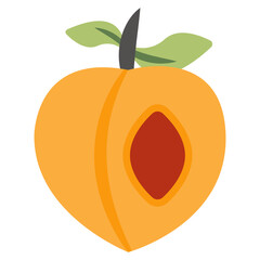 A beautiful design icon of apricot 
