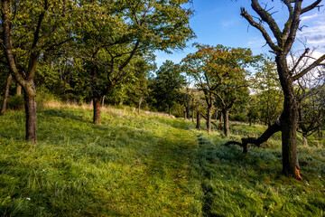 Herbstliche Wanderung durch den Naturpark der Hohen Schrecke im Kyffhäuser - Thüringen - Deutschland