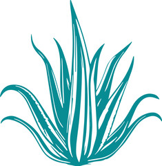 Agave plant vector drawing svg - obrazy, fototapety, plakaty