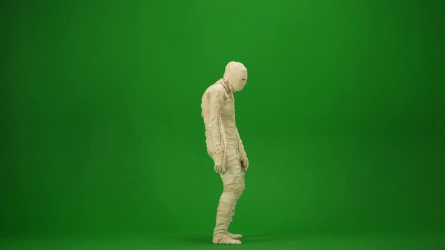 Green screen isolated chroma key side view video capturing a mummy staggering on a place. Mock up, workspace for your promotion clip or advertisement. Full length.