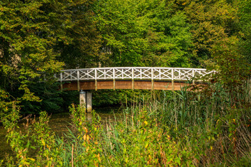 A white pedestrian bridge in the park in autumn, Germany.