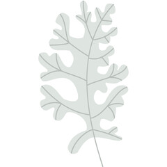 Fototapeta premium Winter Leaf 