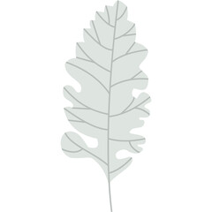 Fototapeta premium Winter Leaf 