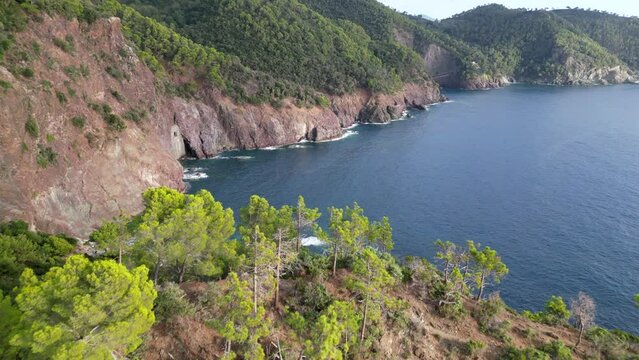 Europe, Italy, Liguria , Framura - drone aerial view of amazing sea landscape in Tigullio national park with pine forest and cliff between Framura Bonassola and Levanto pedestrian path - Cinque Terre 