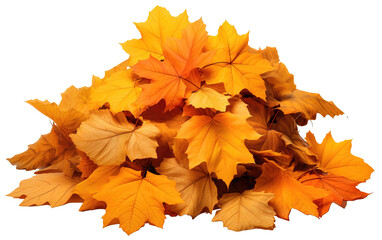 Naklejka na ściany i meble A pile of autumn colorful leaves isolated on a transparent or white background, PNG