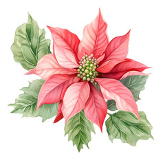 Poinsettias Flowers Watercolor Clipart, Winter Red Poinsettias, Christmas Flowers Decoration, made with generative AI	
