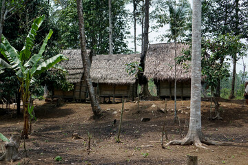 The Baduy people's rice barns, known as Leuit, are used as grain storage for their food reserves.  ...