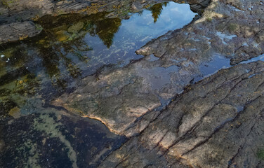 Rocky Shore on the Pacific Ocean Coast. Sunny Sunset.