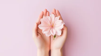 Fotobehang Woman hand holding pink flower on blue background. Pastel color. © Moon Project