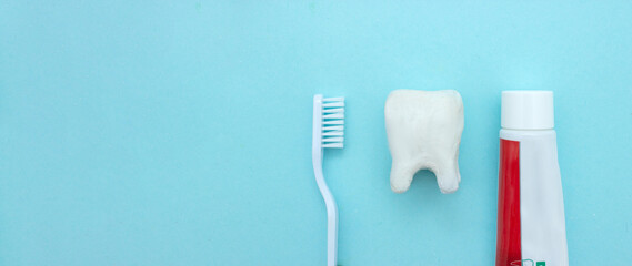Close up of a toothbrush and toothpaste with white molar tooth model on blurred blue background. Means to care for the oral cavity.