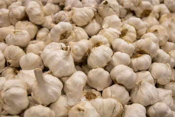 Background of garlic