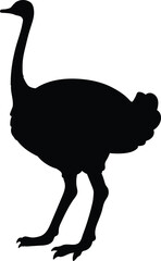Simple and adorable flat colored Ostrich illustration in silhouette