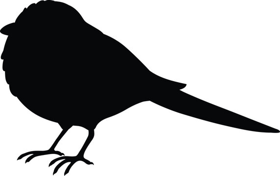 recommend clip art: Simple and adorable flat colored Long-tailed tit illustration in silhouette