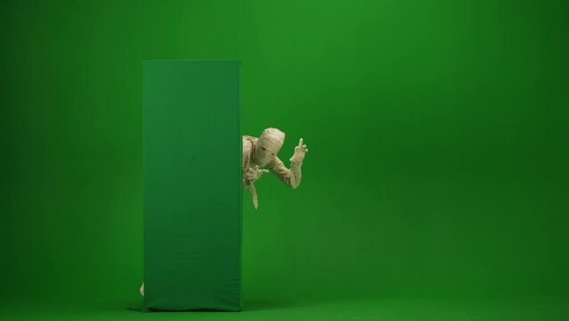 Green screen isolated chroma key video capturing a mummy showing from behind a green screen banner box, booing and scaring somebody. Full length.