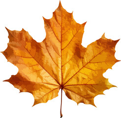 Naklejka na ściany i meble Autumn leaf clip art