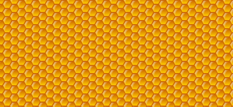 honeycomb pattern. Vector label for bee honey. Honeycombs with honey, and a symbolic simplified image of a bee as a design element. Organic and eco honey labels and tags with bees.