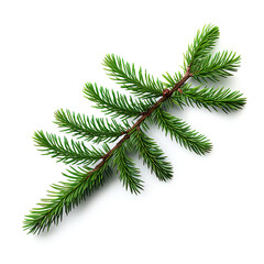Naklejka premium Tannenzweig auf weißen Hintergrund