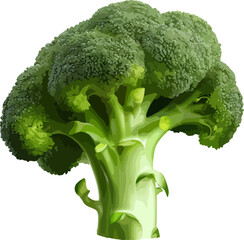Broccoli clip art