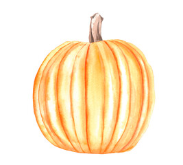 
Ripe orange pumpkin, autumn harvest