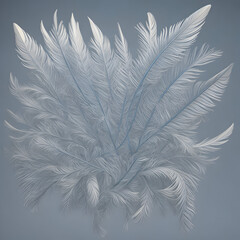 white feather background 