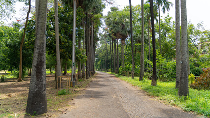 Botanic Garden located in Howrah, West Bengal, India