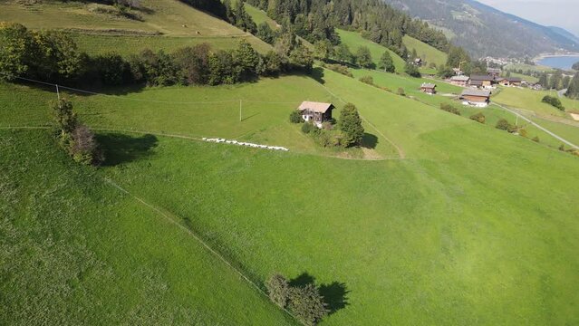 Im Ultental, S&uuml;dtirol, laufen Ziegen in einer Reihe an einer Almh&uuml;tte vorbei