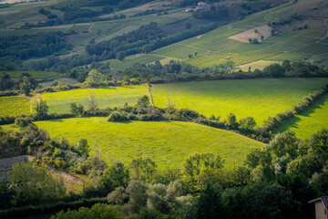Fototapeta na wymiar Val d'Oingt, France - 08 29 2021: Rhône Vineyard. View of a the hills behind Saint-Roch .