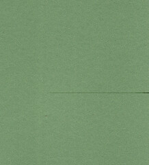Fototapeta premium green wall texture