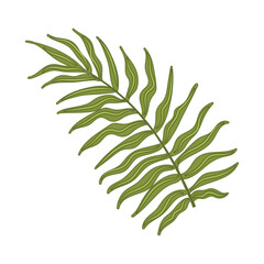 Colored sketch of a leaf Vector illustration