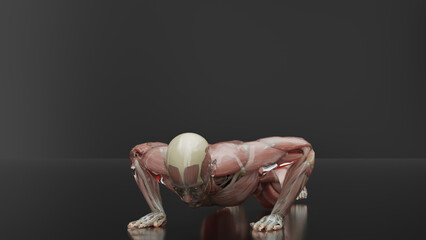 Man doing Push-Ups. Anatomy Muscles Tendons, Chest extreme workout demonstration, Cross fitness exercise, weight loss training, Athlete jump Push Up, Sportsmen, gym floor, clapping, 3d render