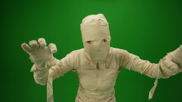 Green screen isolated chroma key video capturing a mummy running towards the camera with its arms outstretched, trying to catch somebody. Medium size.