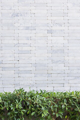 White brick wall and green leaf background,white brick wall texture.